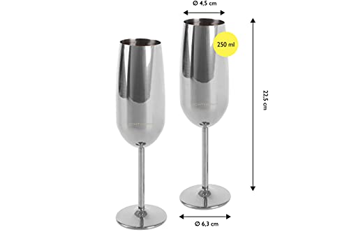 Echtwerk 2-Piece Champagne Glass Set - Stylish & Shatterproof