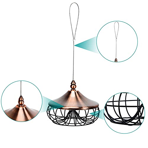 Dreamade Hanging Bird Feeder - Attract Birds With Easy Refills
