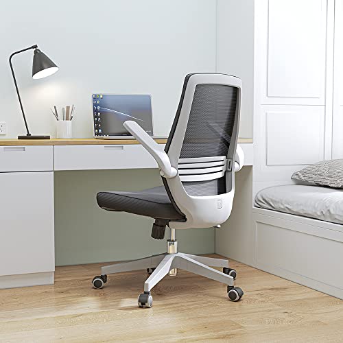 Sihoo M76-M104 Ergonomic Office Chair With Adjustable Armrests & Lumbar Support