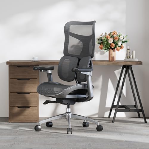 Sihoo Doro S100-M201 Ergonomic Office Chair - Dynamic Lumbar Support