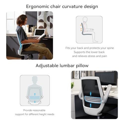 Sihoo M76-M104 Ergonomic Office Chair With Adjustable Armrests & Lumbar Support