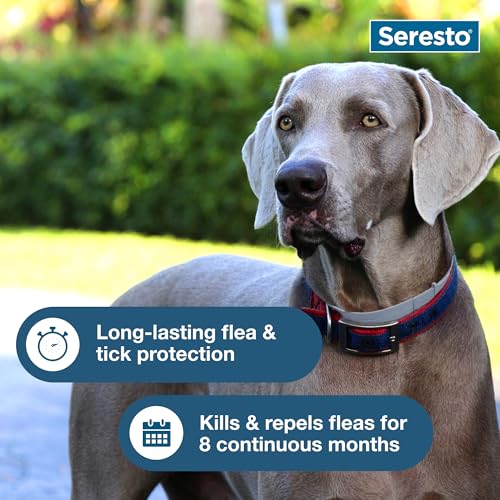 Seresto Flea & Tick Collar For Dogs Over 18 Lbs. - 8 Month Protection