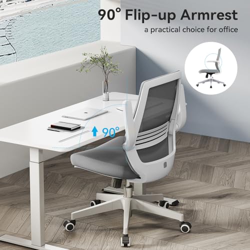Sihoo M76-M103 Ergonomic Office Desk Chair With Lumbar Support & Adjustable Armrests