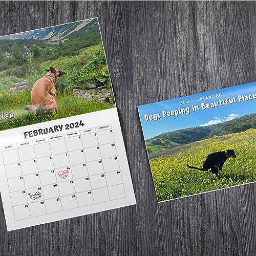Senhe Dogs Pooping In Beautiful Places Calendar 2024 | Hilarious Monthly Wall Calendar