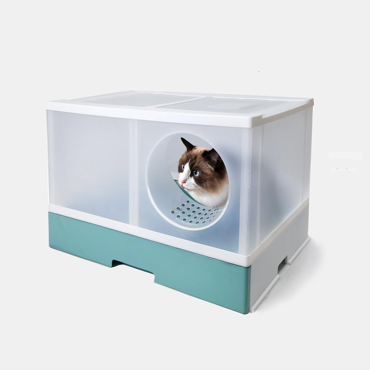 PeTraum XXL Cat Litter Tray with transparent design and adjustable features