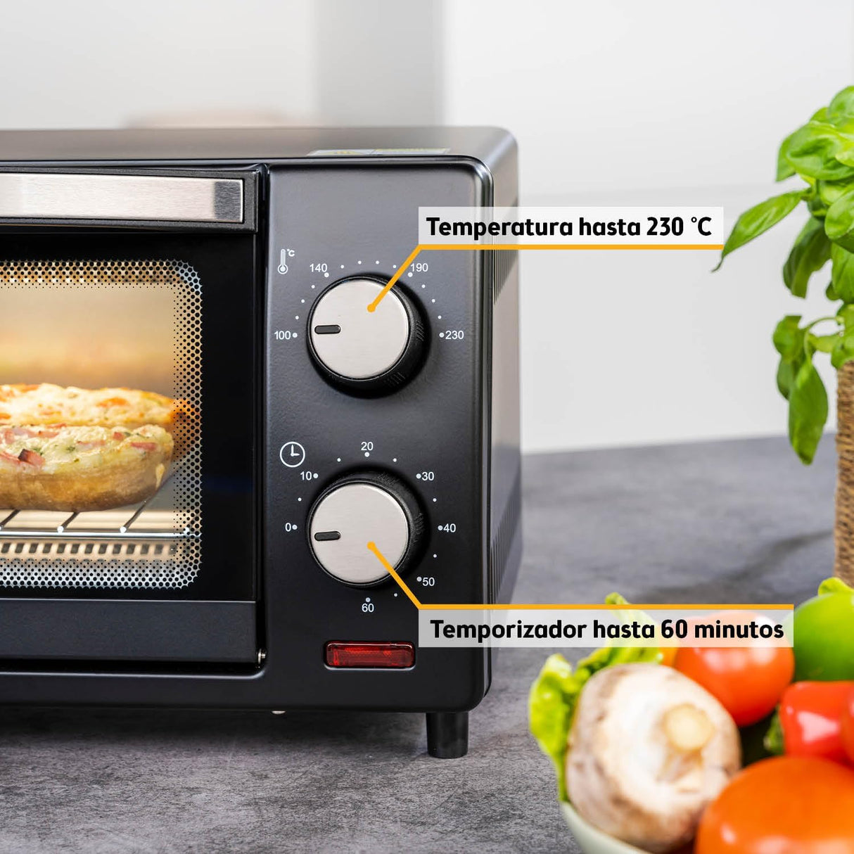 TZS First Austria 10L 800W Mini Oven with 230°C Temp Control