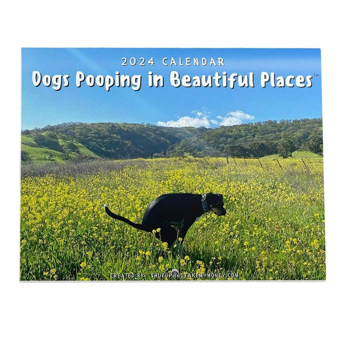 2024 calendar featuring funny dog photos in beautiful locations