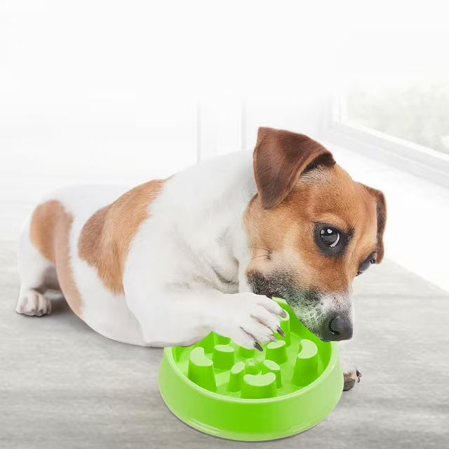 Grandez Slow Feeder Dog Bowl Fan Shape For Healthy Eating