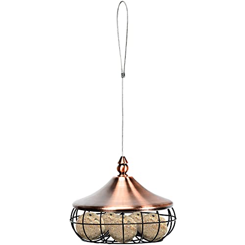 Dreamade Hanging Bird Feeder - Attract Birds With Easy Refills