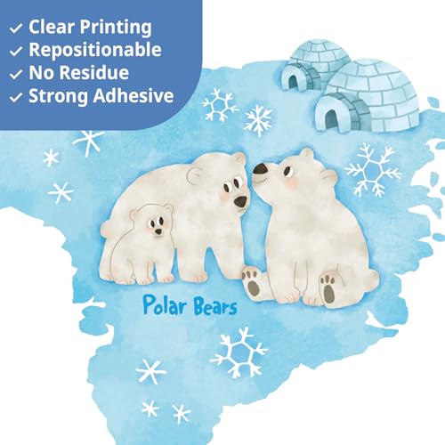 Decowall World Map Animals Wall Stickers - Perfect For Kids' Rooms
