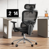 SIHOO M56C-V2-M101 Ergonomic Mesh Office Chair, High Back Desk Chair with 3D Armrests