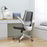 Sihoo M76-M104 Ergonomic Office Chair With Adjustable Armrests & Lumbar Support