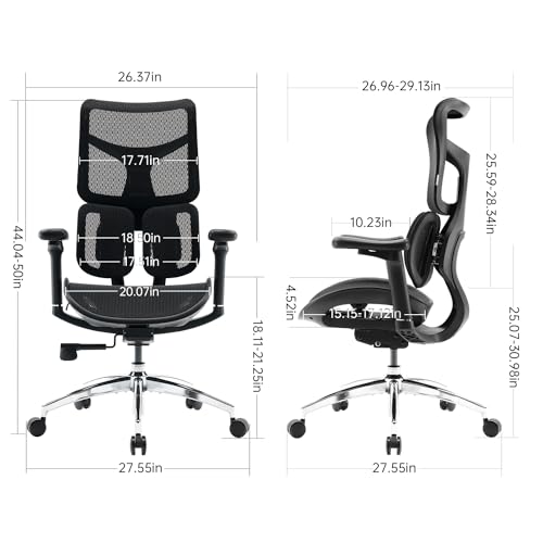 Sihoo Doro S100-M201 Ergonomic Office Chair - Dynamic Lumbar Support