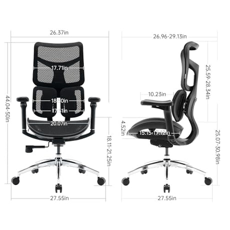 Sihoo Doro S100-M201 Ergonomic Office Chair - Dynamic Lumbar Support