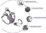 Jdotmin No-Pull Dog Harness For Small Medium Dogs - Adjustable & Reflective