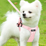 Wdmiya Dog Harness, Small Dog Harness, M Size, Anti-Escape Design