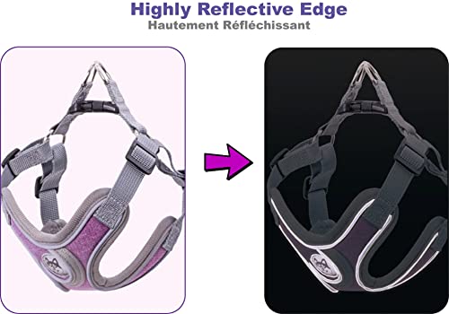 Jdotmin No-Pull Dog Harness For Small Medium Dogs - Adjustable & Reflective