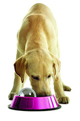 Omega Paw Dog Hog Slow Feeder Ball - Slows Eating & Prevents Bloating