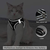 Dociote No Pull Dog Harness For Small Dogs - Soft, Breathable & Reflective