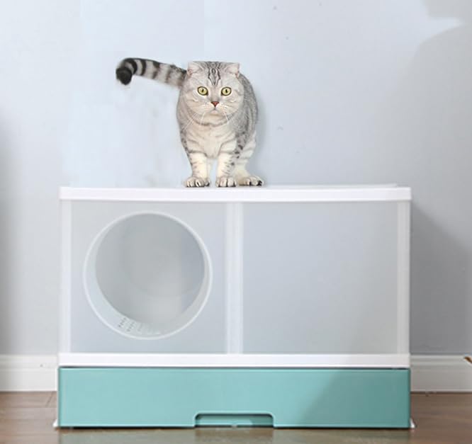 Petraum Xxl Cat Litter Tray For Large Cats - Spacious & Odour-Free