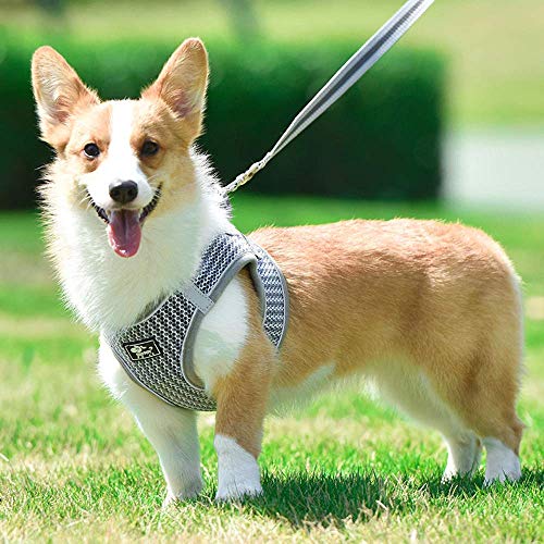 Dociote No Pull Dog Harness For Small Dogs - Soft, Breathable & Reflective