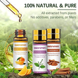 Migcaput Essential Oils Set - 12 Natural Aromatherapy Oils For Diffusers & Spa