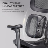 Sihoo Doro S100-M201 Ergonomic Office Chair - Dynamic Lumbar Support