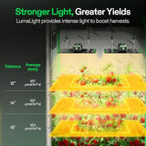 Vivosun Vs1000 Led Grow Light For Indoor Plants - Dimmable & Efficient