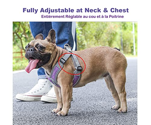 Jdotmin No-Pull Dog Harness For Small Medium Dogs - Adjustable & Reflective