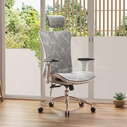 Sihoo M57-M114 Ergonomic Mesh Office Chair With Adjustable Lumbar Support