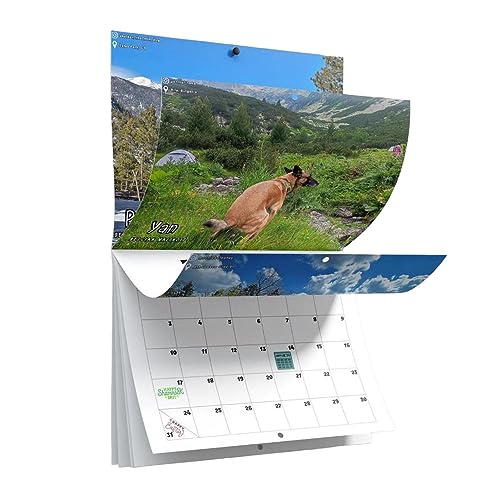 Senhe Dogs Pooping In Beautiful Places Calendar 2024 | Hilarious Monthly Wall Calendar