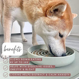 Nalacal Silicone Slow Food Dog Bowl - Puzzle Design For Healthy Eating