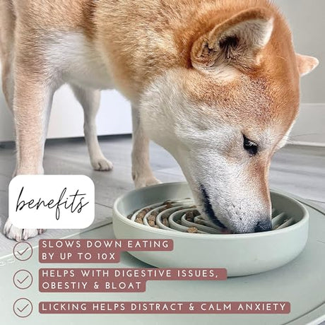 Nalacal Silicone Slow Food Dog Bowl - Puzzle Design For Healthy Eating