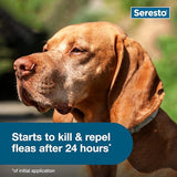 Seresto Flea & Tick Collar For Dogs Over 18 Lbs. - 8 Month Protection