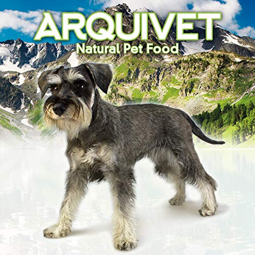 Arquivet Pork Ear Xxl For Dogs - Natural Chew Treats For Dental Health
