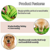 Oncpcare Pet Dog Feeder, Foraging Dog Mat - Stress Relief For Dogs & Cats