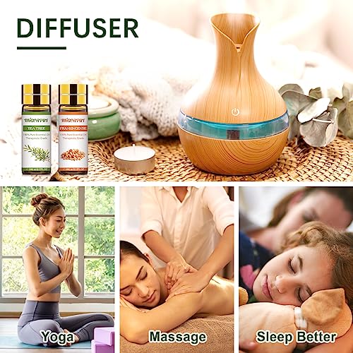 Migcaput Essential Oils Set - 12 Natural Aromatherapy Oils For Diffusers & Spa