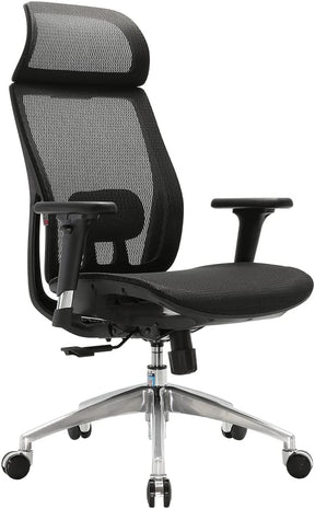 Umi Ergonomic Office Desk Chair - Adjustable Lumbar Support and 3D Arms