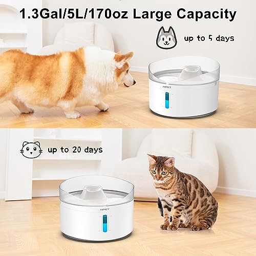 Npet Df20 Dog Water Fountain With Adjustable Brightness & Water Pump For Medium Pets