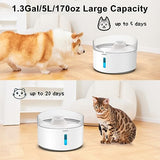 Npet Df20 Dog Water Fountain With Adjustable Brightness & Water Pump For Medium Pets