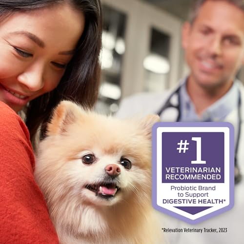 Pro Plan Veterinary Diets Purina Fortiflora Probiotic Supplement For Dogs - Supports Intestinal Health