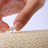 Wxoieod Cat Scratcher Mat - Natural Sisal - Multi-Use & Durable