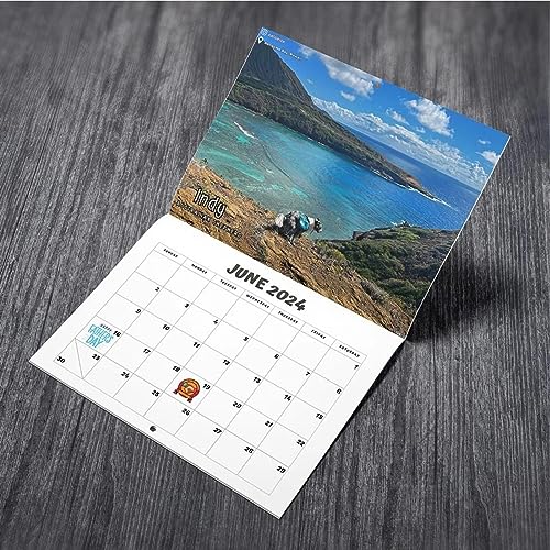 Senhe Dogs Pooping In Beautiful Places Calendar 2024 | Hilarious Monthly Wall Calendar
