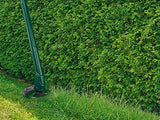 Routledge Parkside® Electric Lawnmower Prt 300 A1 - 300 W Power & Ergonomic Design