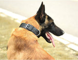 DaiHan Tactical Military Dog Collar - Adjustable Nylon Double D-Ring