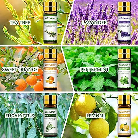 Migcaput Essential Oils Set - 12 Natural Aromatherapy Oils For Diffusers & Spa