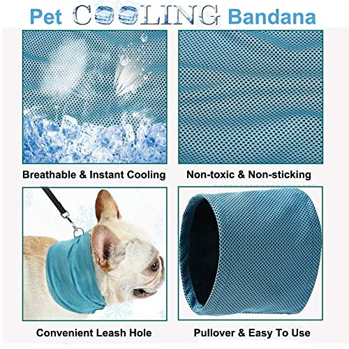 Coppthinktu Dog Cooling Bandana - Instant Relief For Pets In Summer