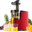 COSTWAY Slow Masticating Juicer - Cold Press, Quiet Motor