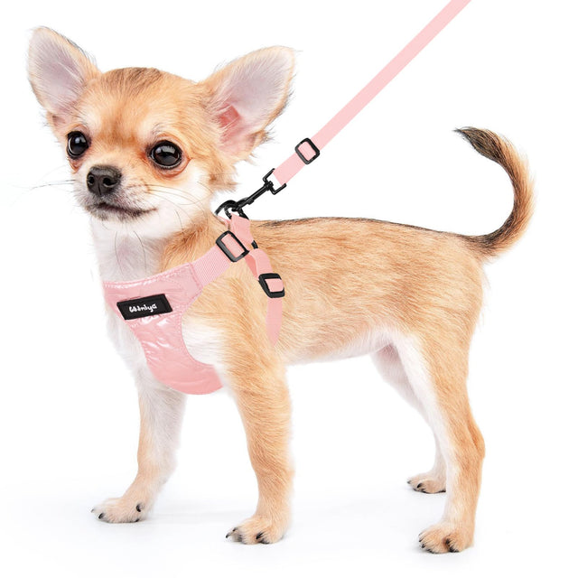 Wdmiya M size dog harness in rose color with adjustable straps and nylon leash