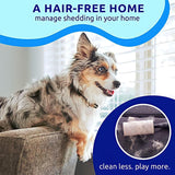 Generic Pet Dematting Comb - Blue Dual Head Stainless Steel